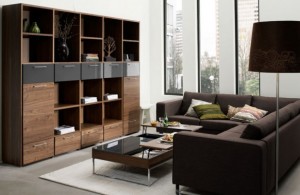 living-room-shelf-582x380